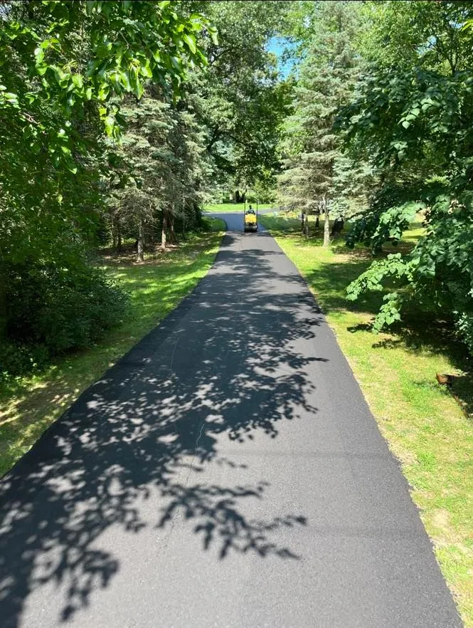 Fresh asphalt driveway winding through a wooded residential setting surrounded by mature trees and professionally maintained landscaping.