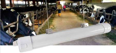 Globolux KG, An der Hart 70 in Weimar