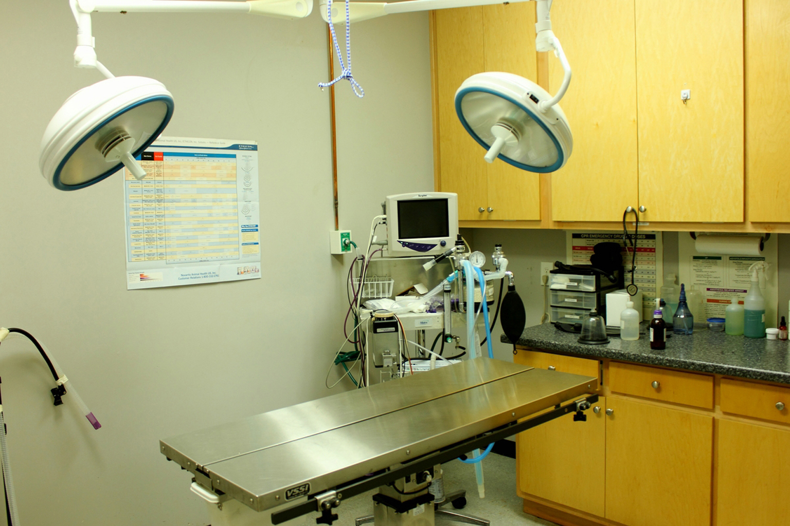 VCA Dahlonega Animal Hospital Surgery Suite