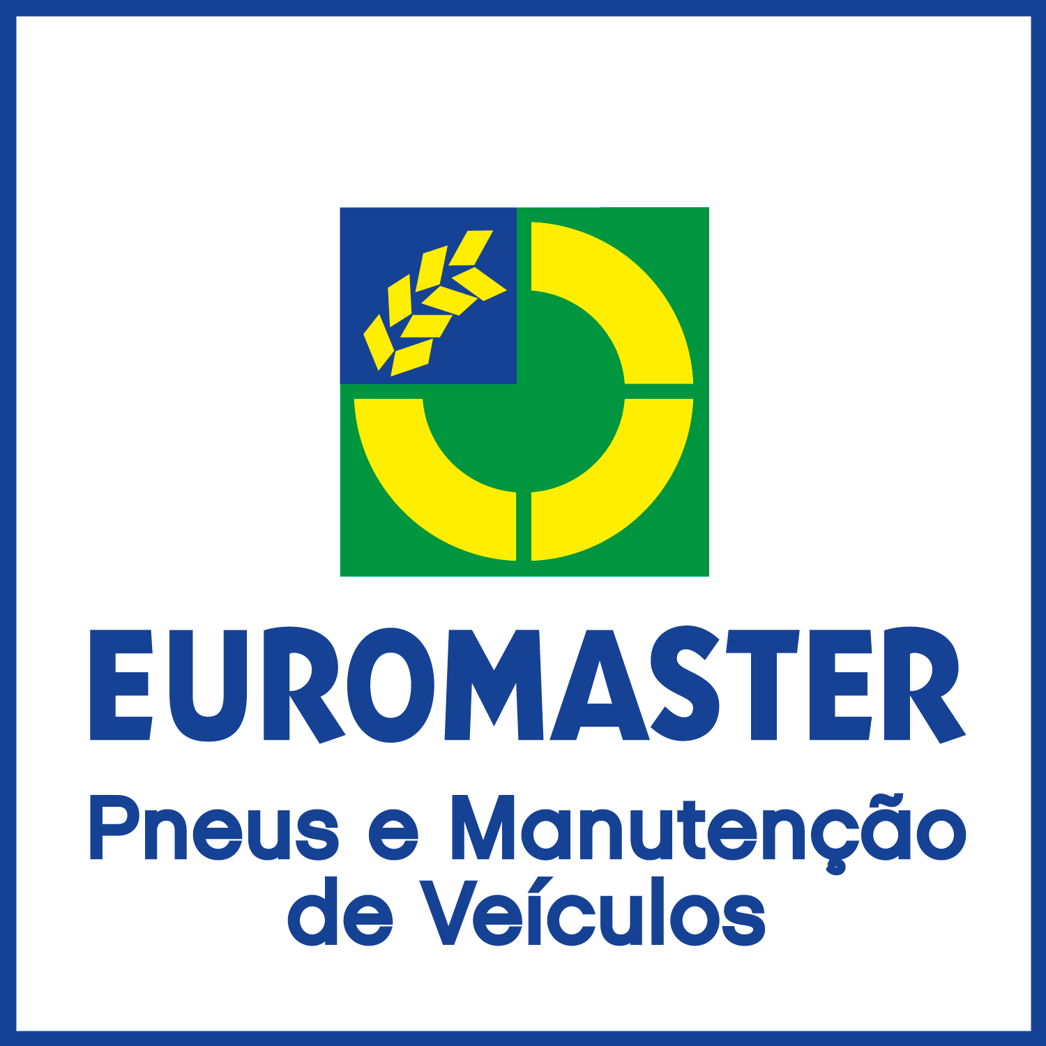 Euromaster Pneus do Carregal Logo