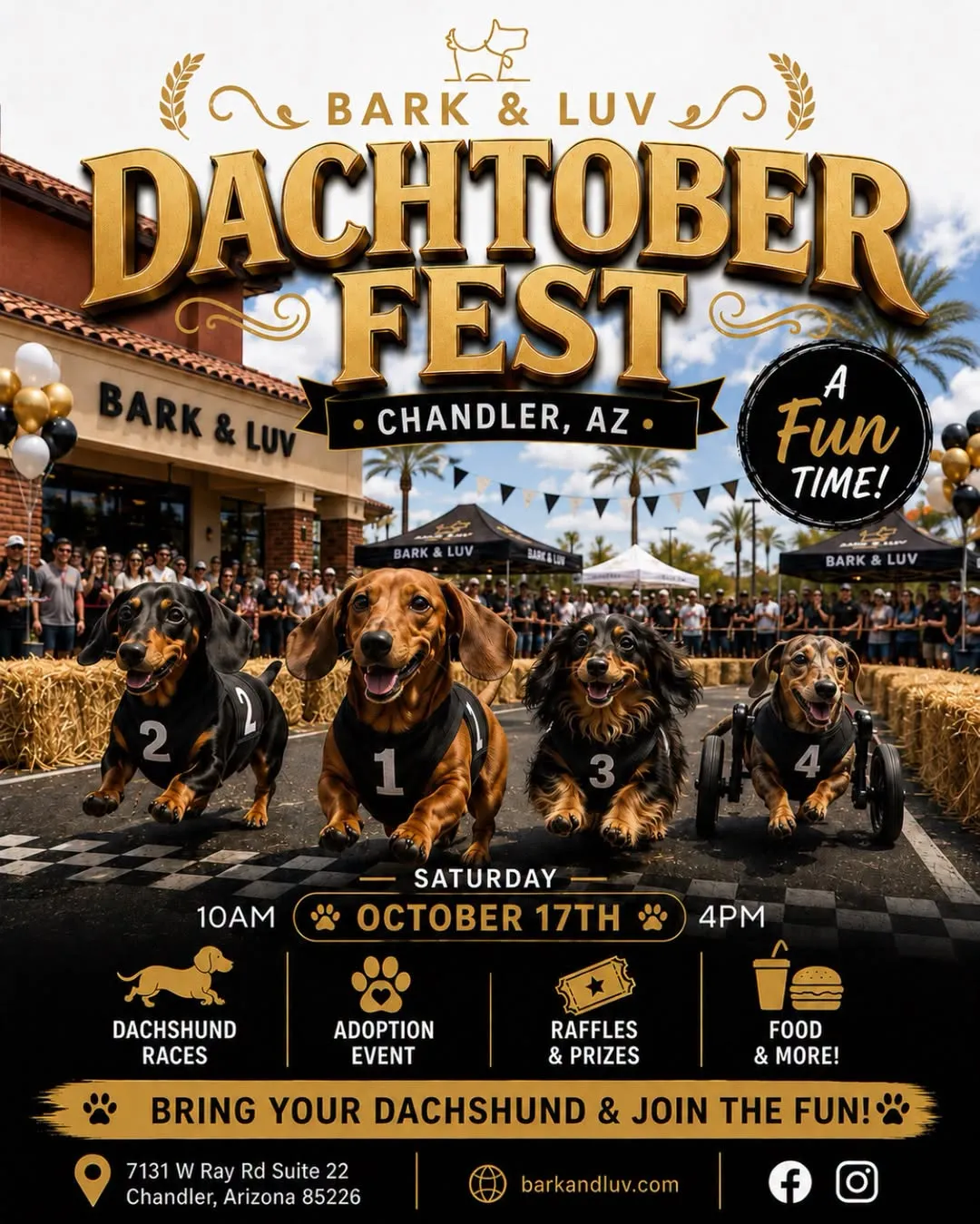 Image of Local Pet Event Dachtober Fest Nearby