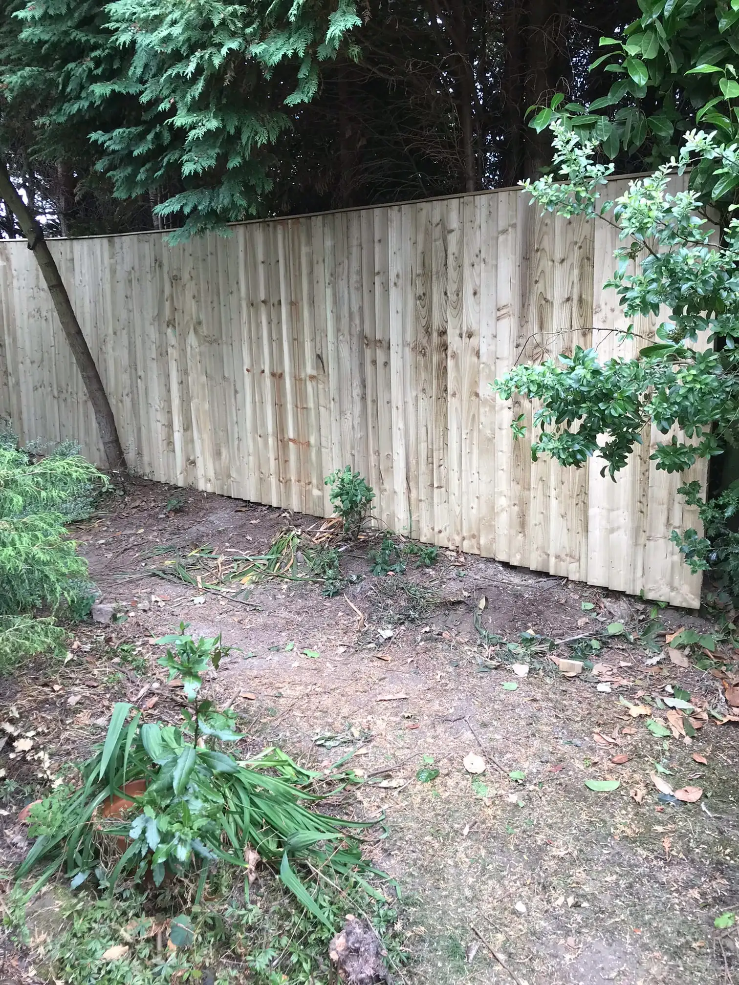 Images D & E Landscapes