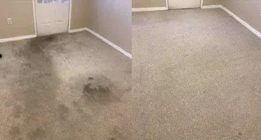 Images A&D Cristal Clear Ltd