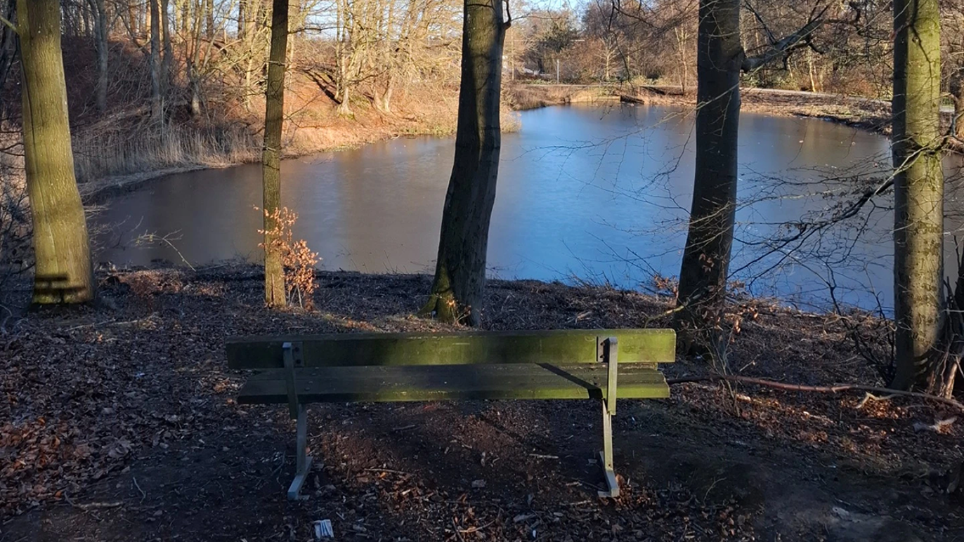 Images Mindful Coaching V/Mette Lind