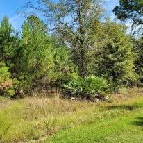 Images J & M Forestry and Mulching LLC