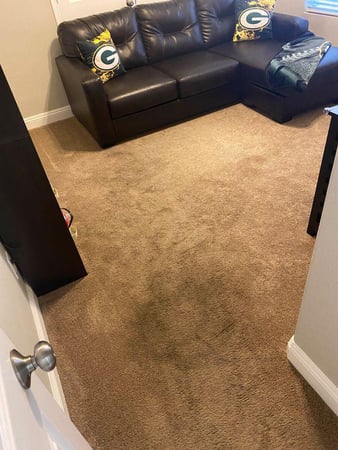 Images Cade's Carpet & Floor Care