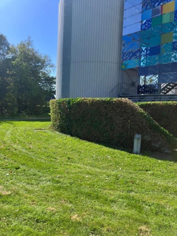 Images Marks Anlægsgartner Service