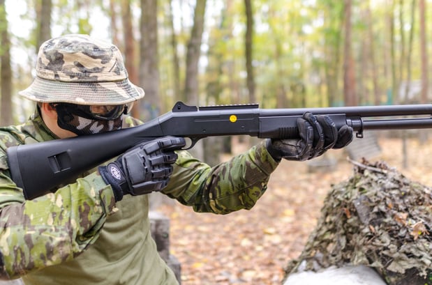 Images Triumph Sporting Arms