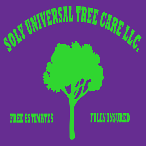 Soly Universal Tree Service