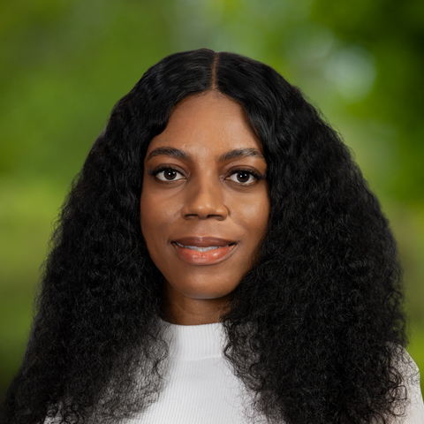 Inemesit N. Williams