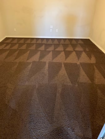 Images Fresh Carpet Clean Houston