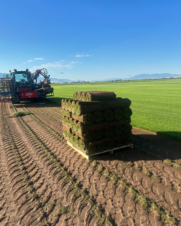 Images Hobbs Turf Farms, Inc.