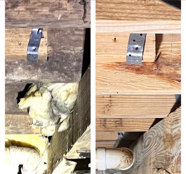 Images Your Crawlspace Solution