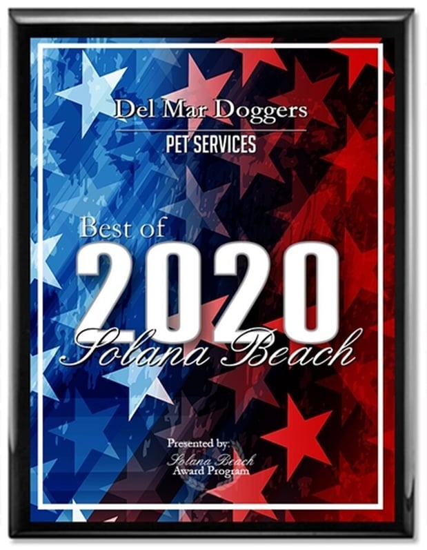 Images Del Mar Doggers dog walking, dog sitting, overnight stays