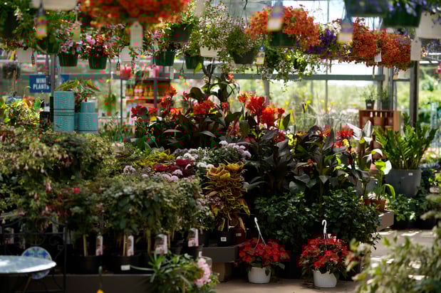 Images Mahoney's Garden Center