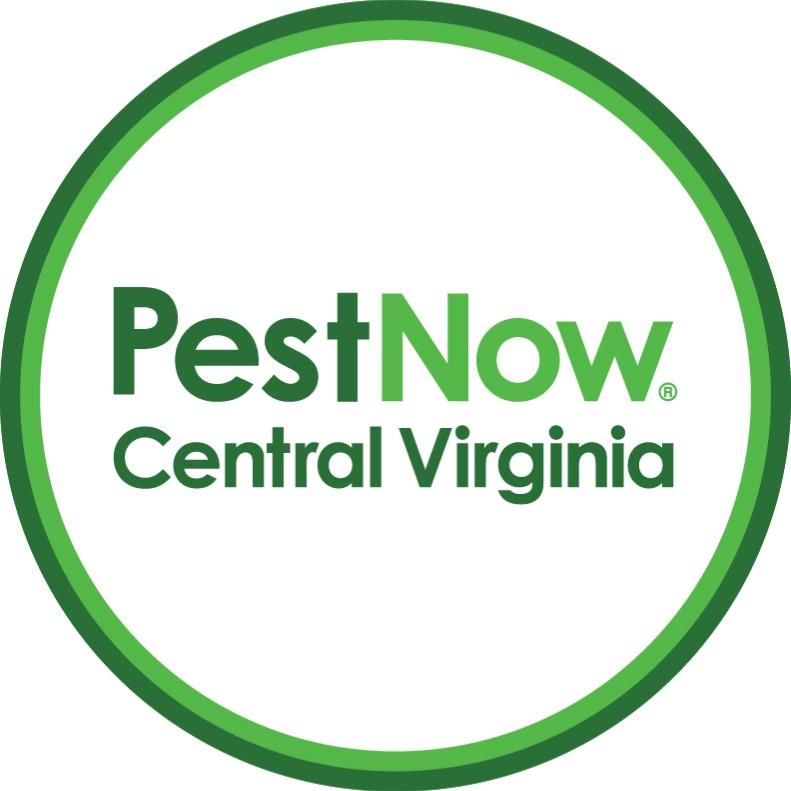 PestNow of Central Virginia | Ruther Glen Logo