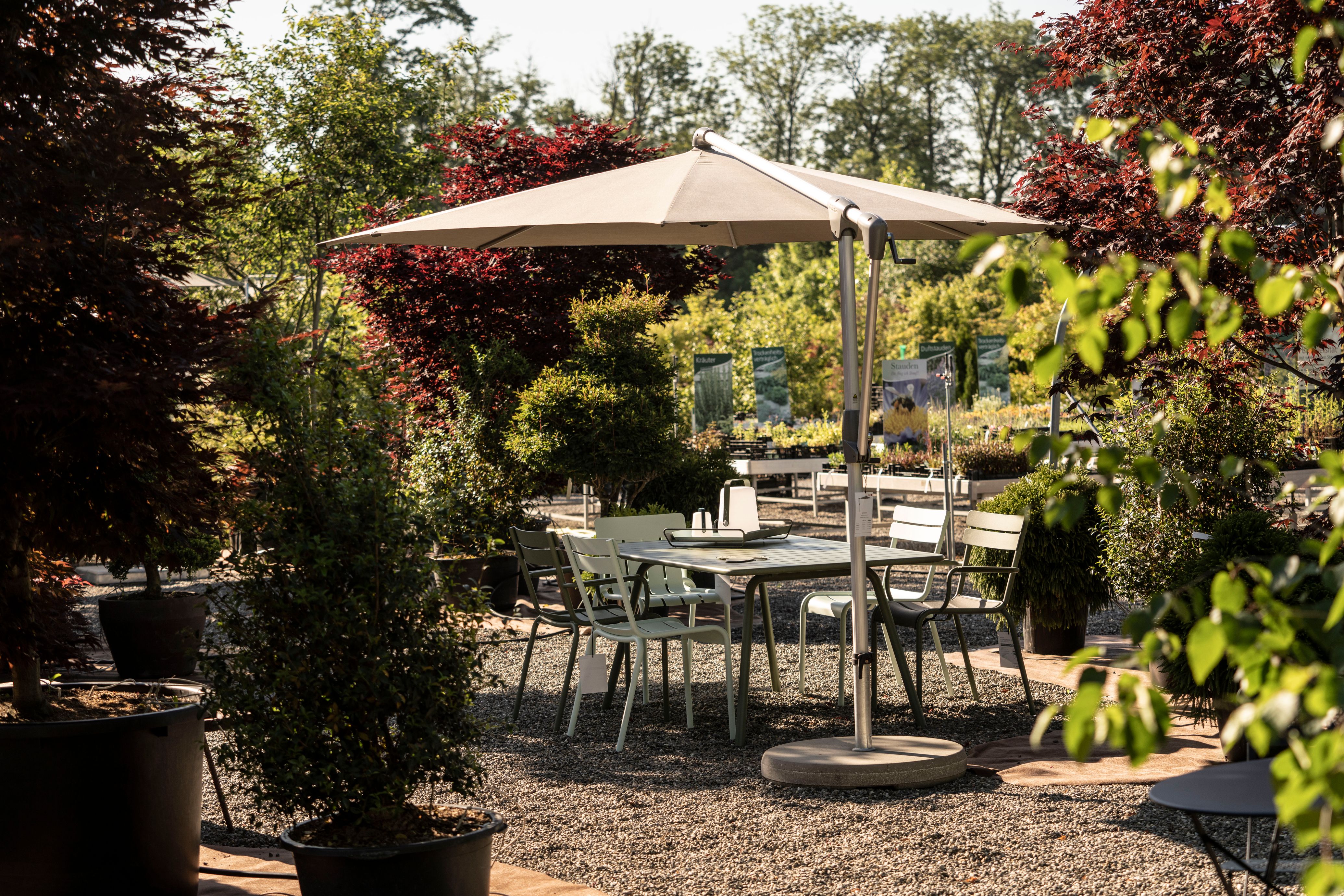 Bilder wüthrich pflanzen ag