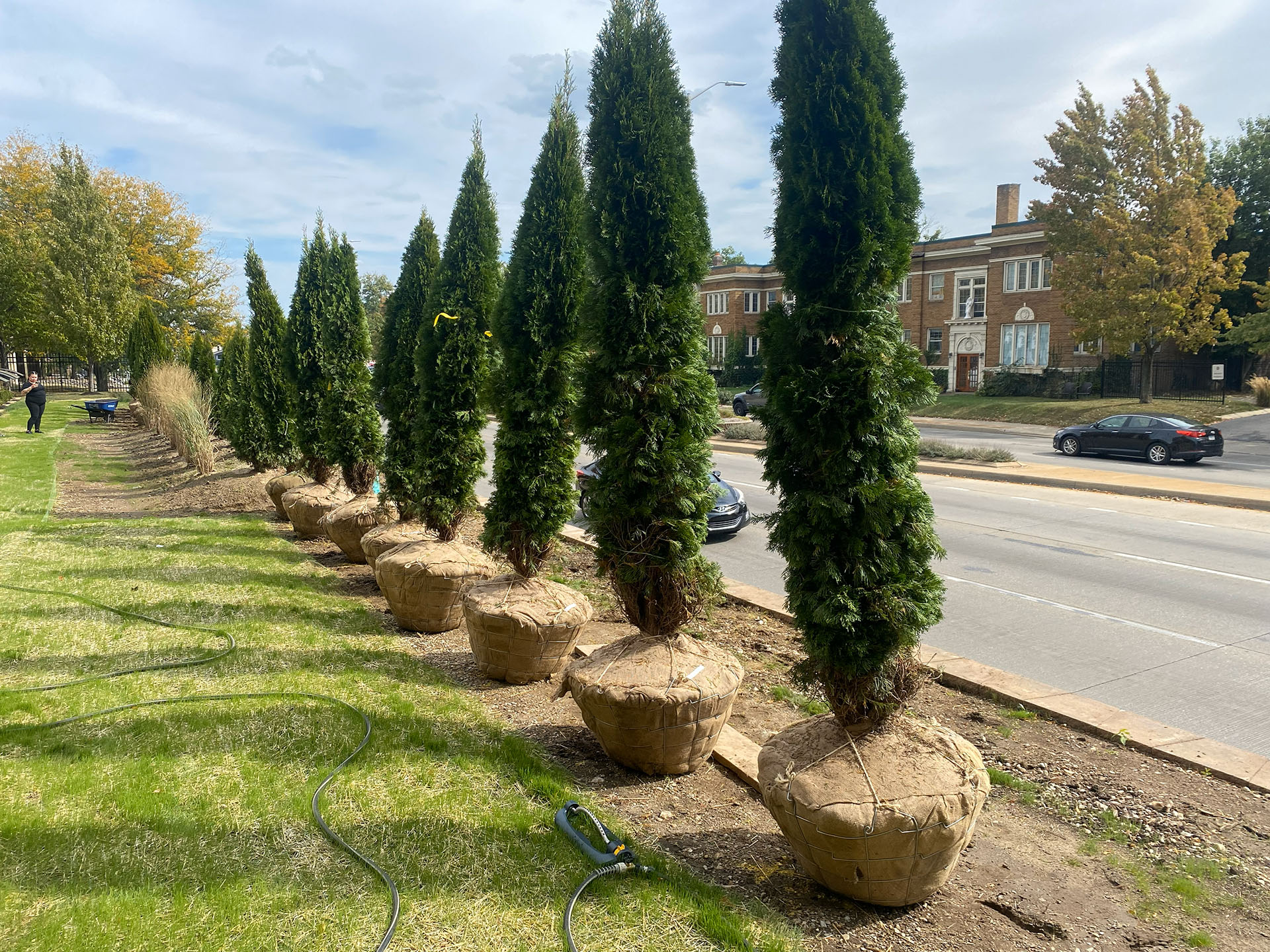 Rooted Lawn & Landscape Image