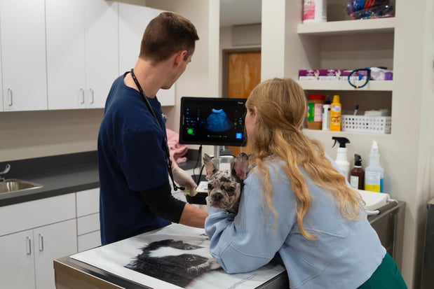 Images Furgent Care Vet