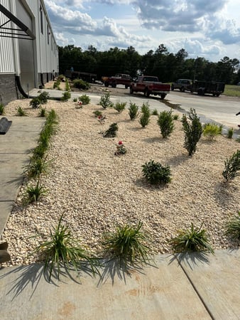 Images Juan Mata Lawn Care Services