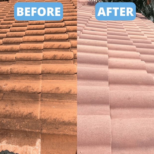 Images Window Hero Charlotte