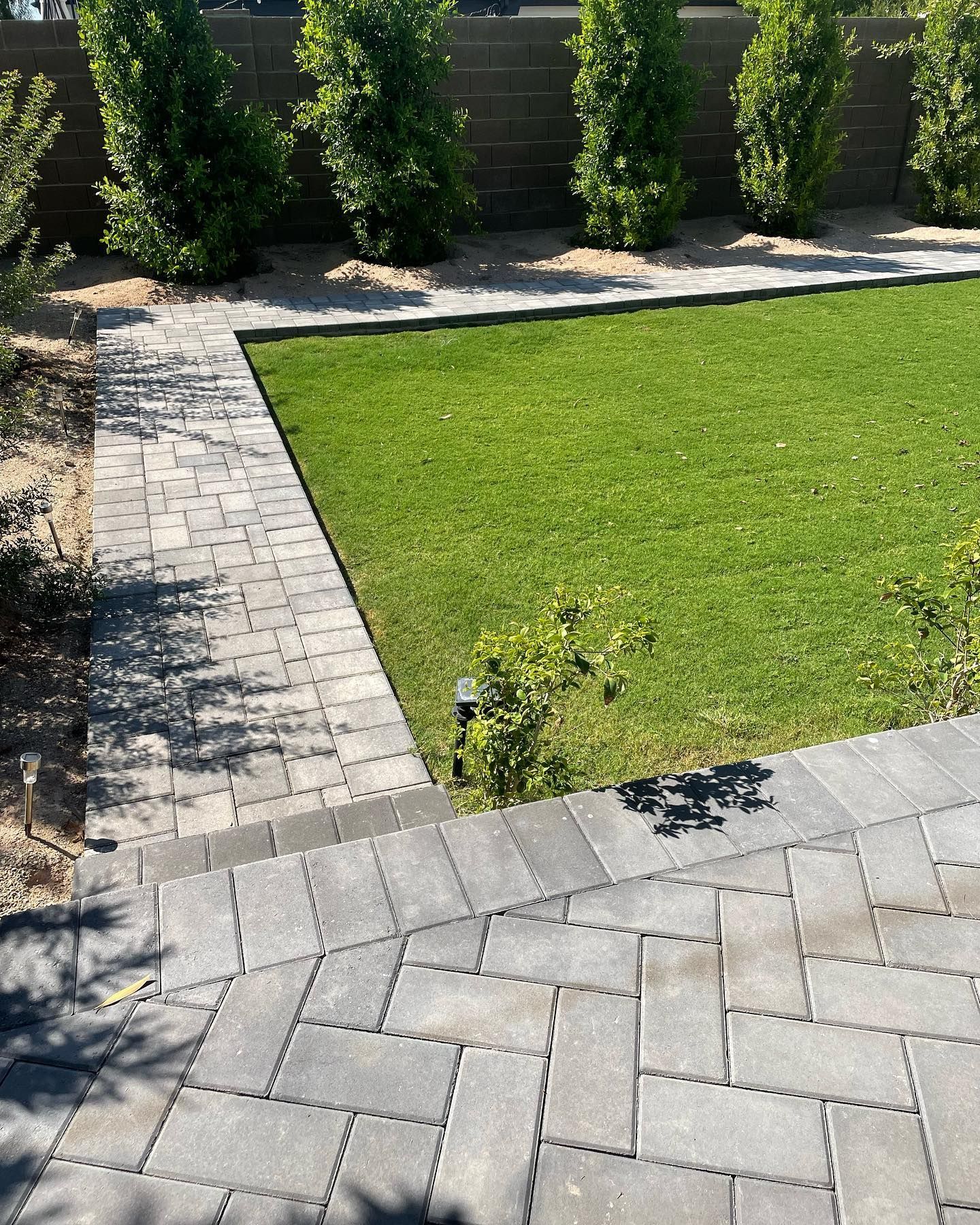 A neatly landscaped backyard with green grass, a block wall, young trees, and modern gray paver walkways in clean patterns.