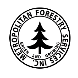 Metropolitan Forestry Services