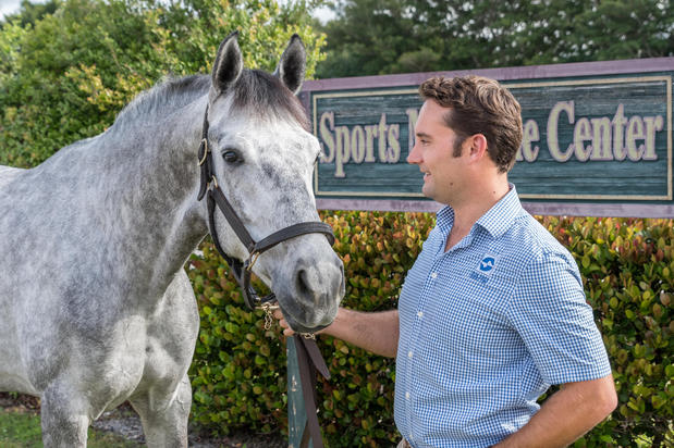 Images Palm Beach Equine Clinic