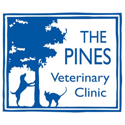 Pines Veterinary Clinic - Maidenhead - Maidenhead, Berkshire SL6 4LB - 01628 776699 | ShowMeLocal.com