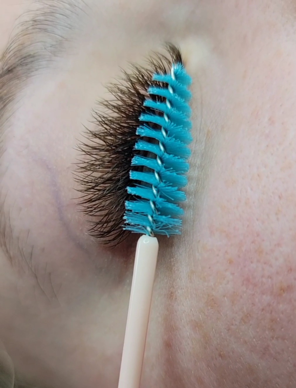 Images Lashista - Formation cils - Pose de cils - Produits de cils Longueuil
