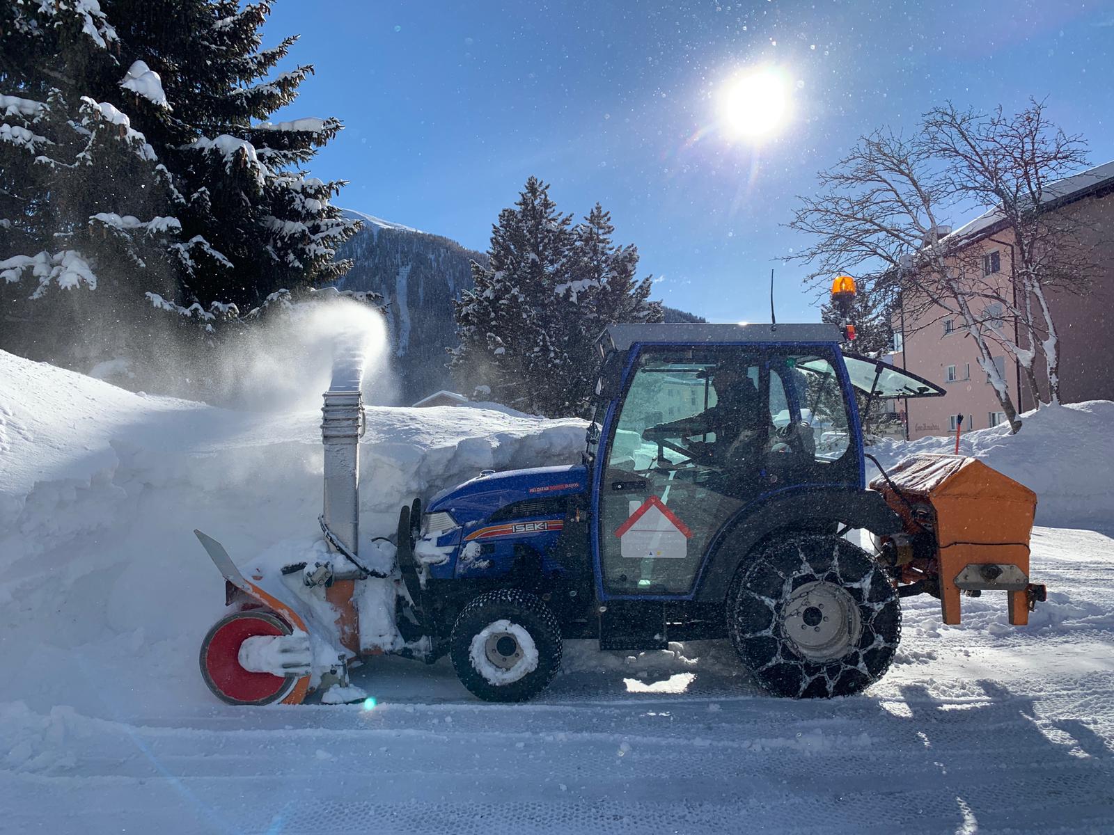 Hauswartungen & Liegenschaftenservice Wiemer Alex, Museumstrasse 22B in Davos Dorf