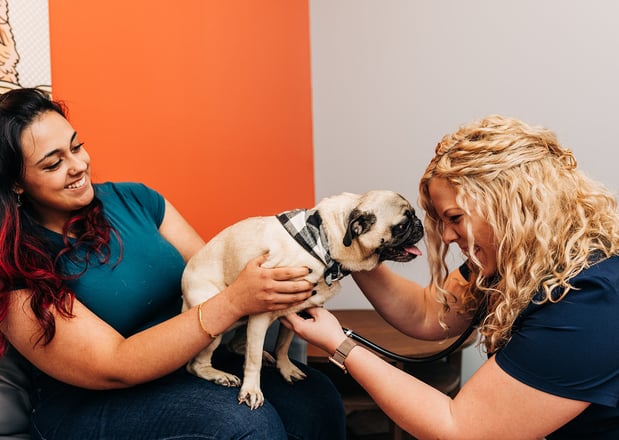 Images PetVet365 Pet Hospital Louisville / Jeffersontown