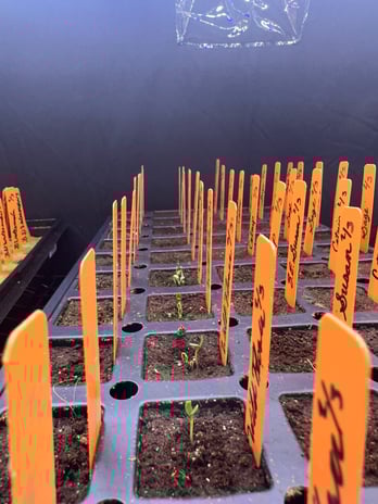 Images PJ's Plants and Nutrition - Garden Supply