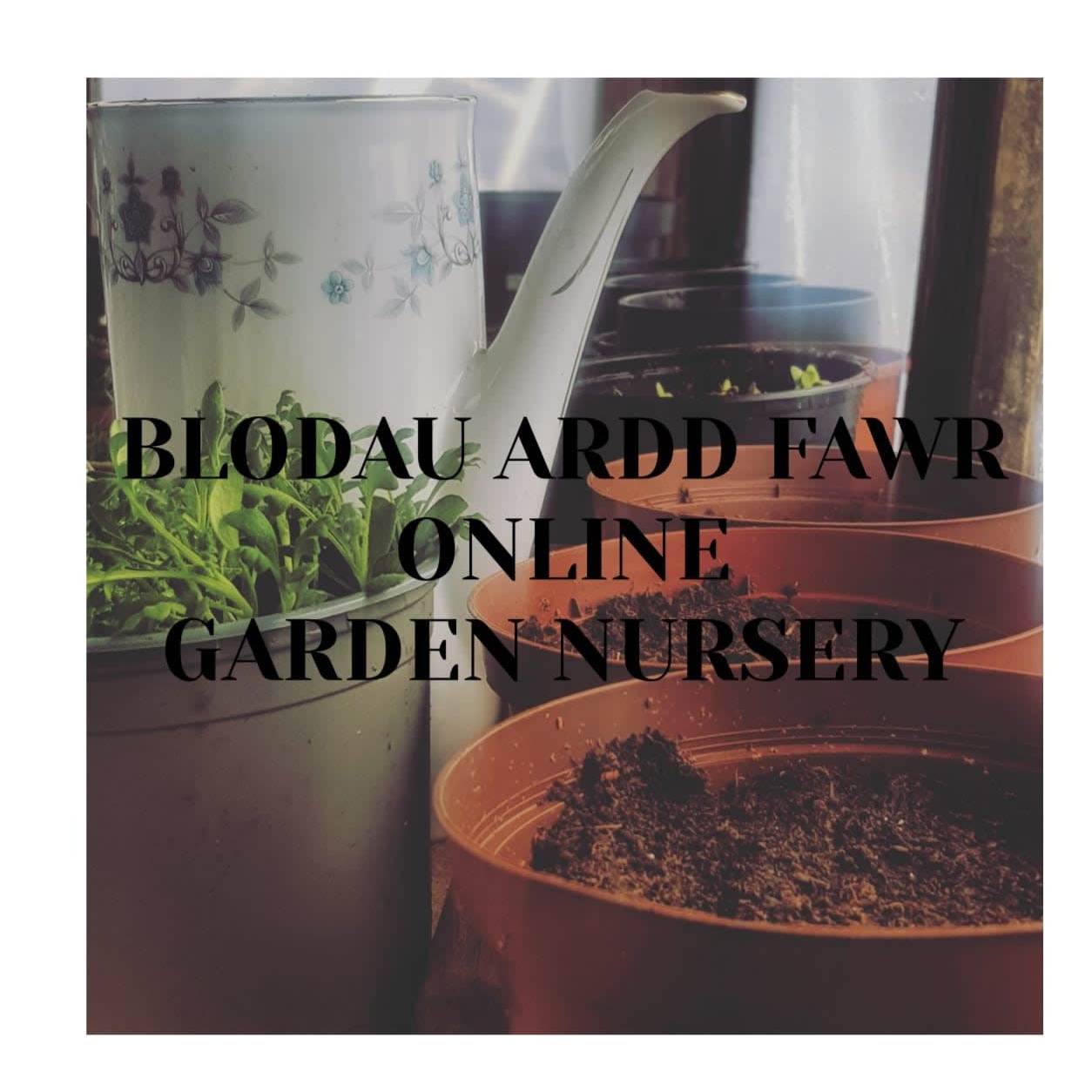 Blodau Ardd Fawr-online Garden Nursery Logo