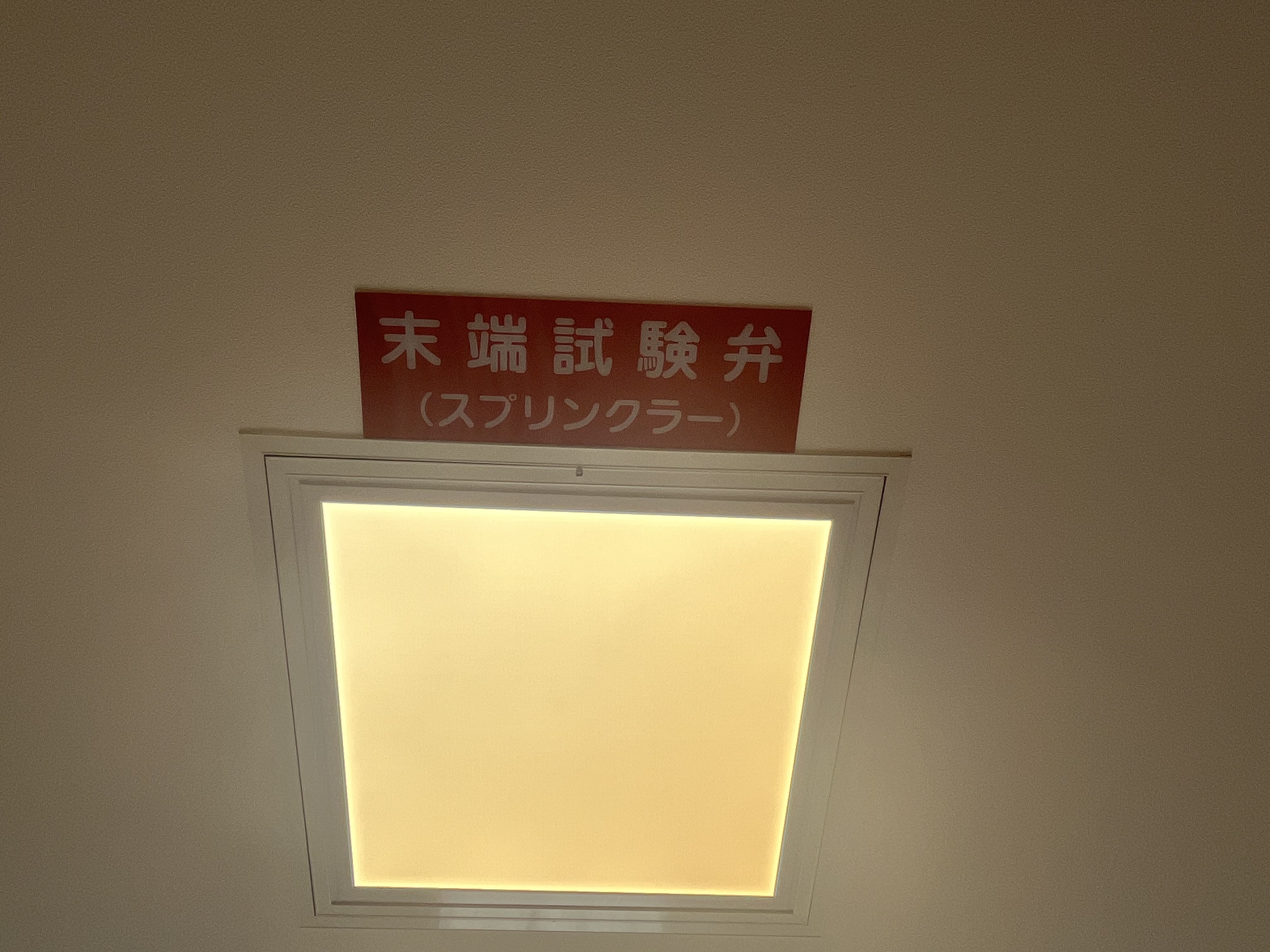 Images フォセット柏南