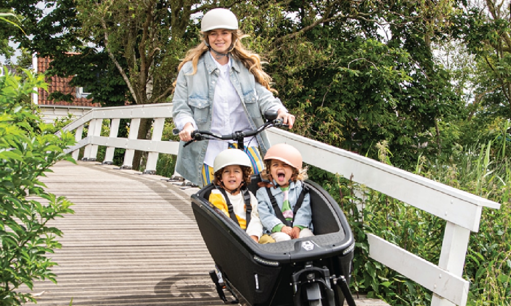 e-motion e-Bike Welt, Dreirad- und Lastenfahrrad-Zentrum Frankfurt Nord, Berner Strasse 107a in Frankfurt Nieder-Eschbach