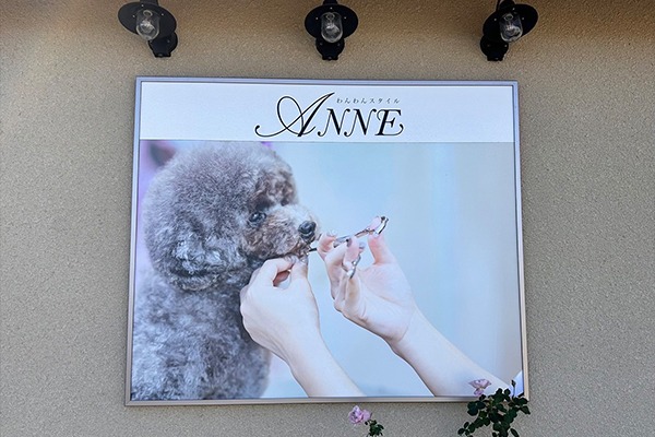 Images わんわんスタイルANNE