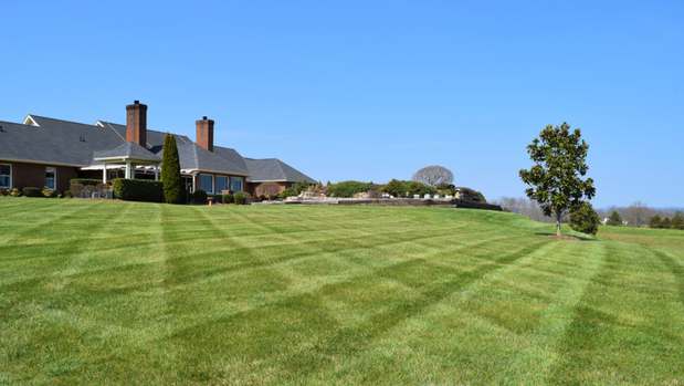 Images A Cut Above Lawncare