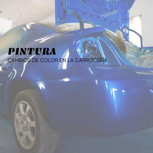 Images Taller Pitiuso