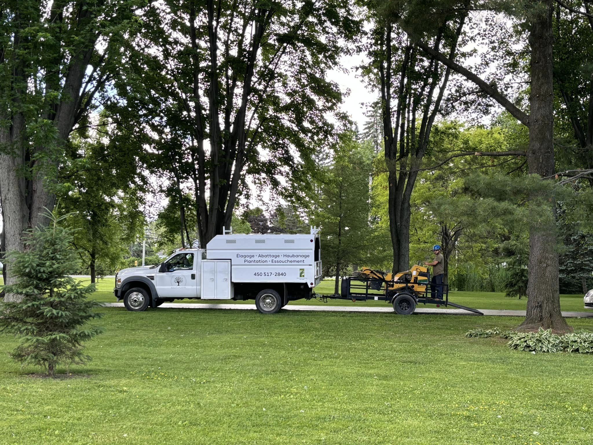 Images Arboriculture PH