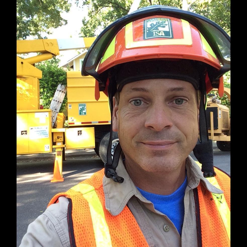 Ray Williamson Tree Service