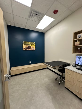 Images CityVet Veterinary Clinic & Urgent Care