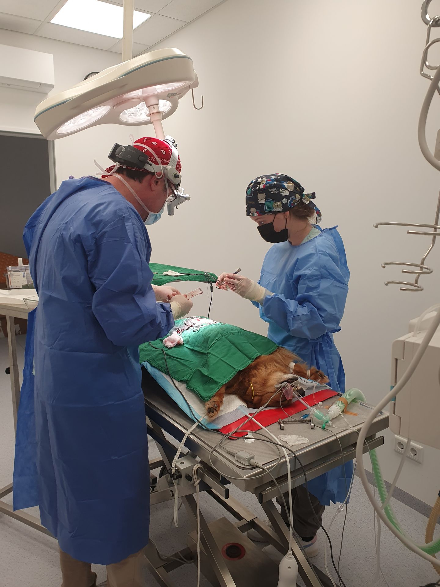 Dr.med.vet. Andre Synilo Tierärztliche Praxis, Dornacher Str. 3 in Feldkirchen