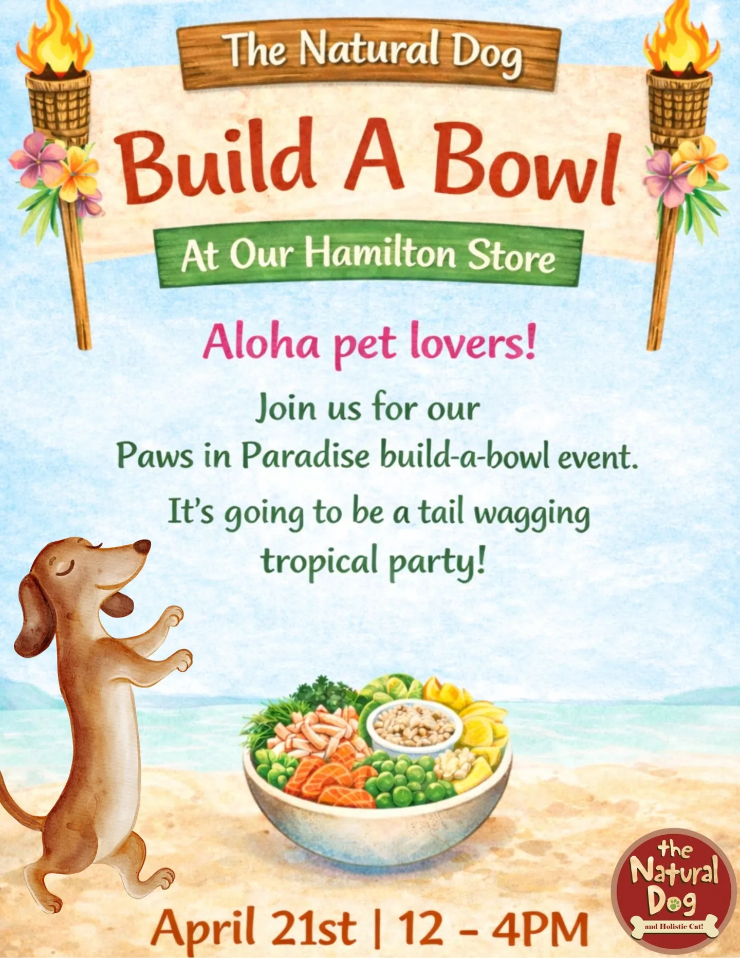 Image of Local Pet Event Hamilton Build a Bowl Nearby