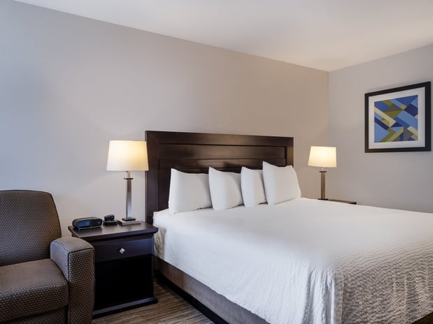 Images Holiday Inn Express & Suites Chicago-Libertyville by IHG