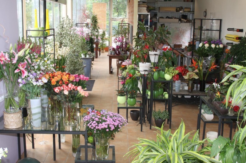 Gartencenter Jedlersdorf - Ing. Josef Hübel, Jedlersdorfer Straße 141 in Wien