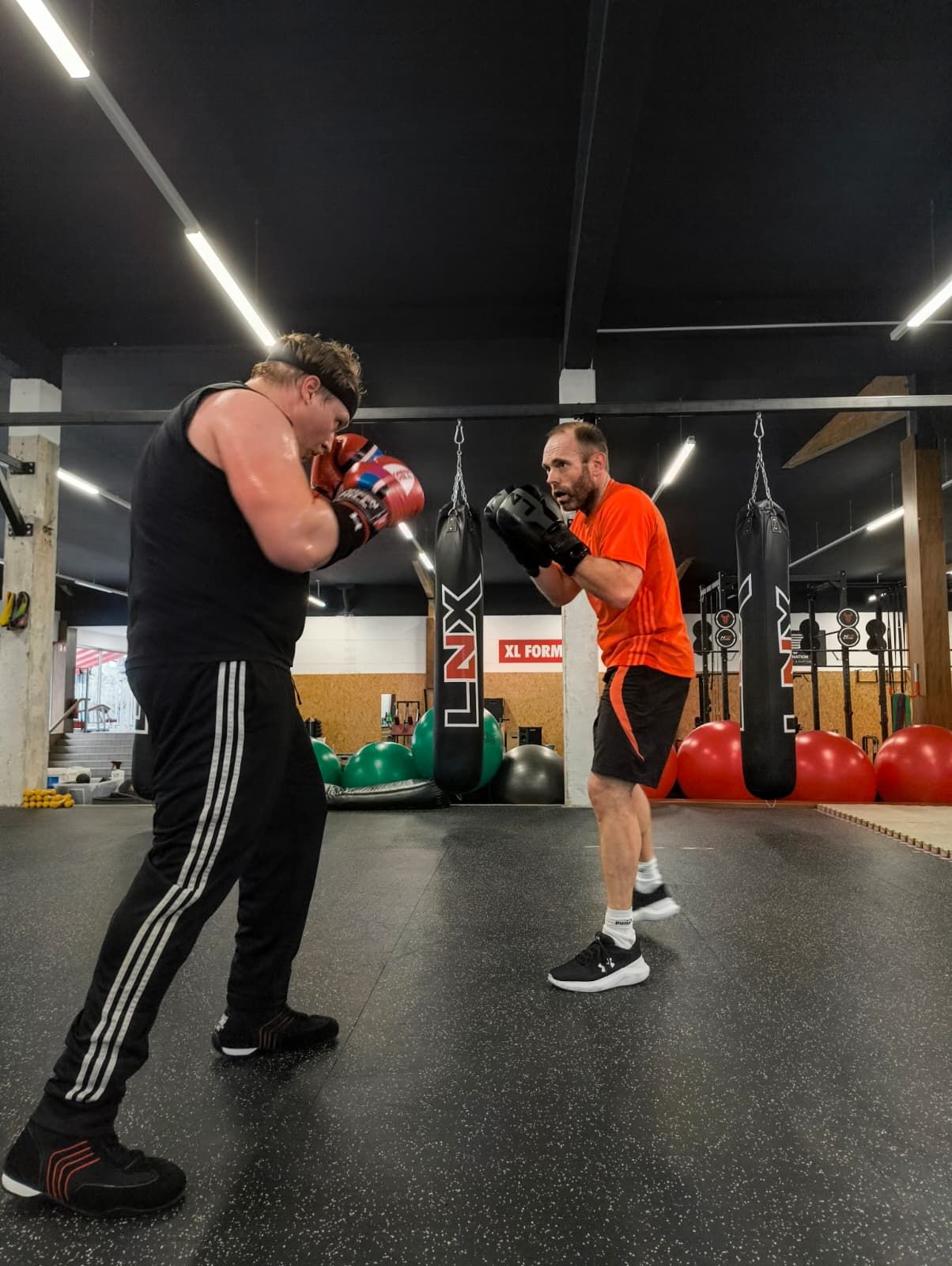 Fit & Fight - Fitnessstudio Mainz, Weberstraße 2-4 in Mainz