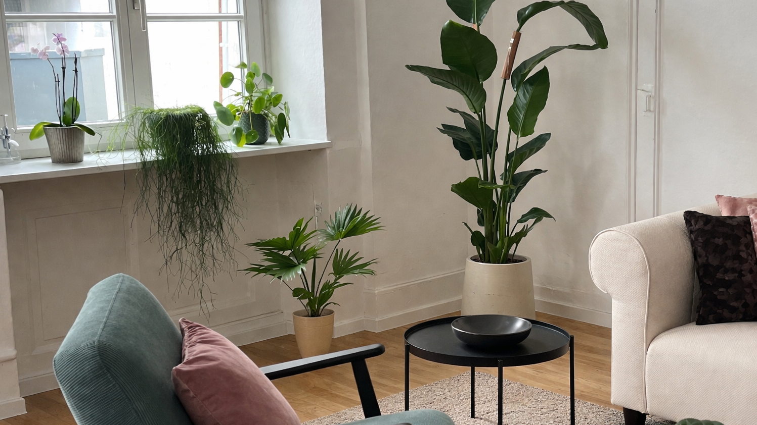Pascale Jenny – Paartherapie & Familientherapie, Erbprinzenstraße 29A in Karlsruhe