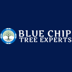 Blue Chip Tree Experts