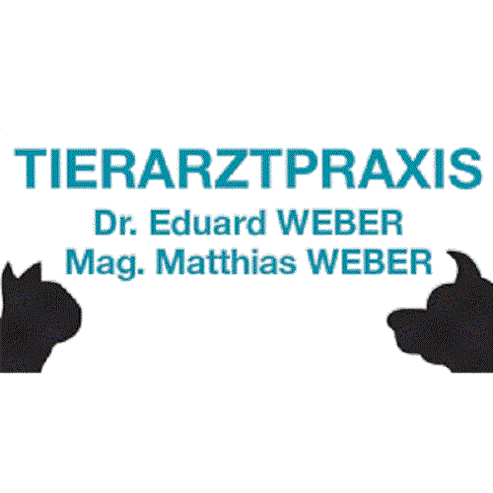 Mag. Matthias Weber Logo